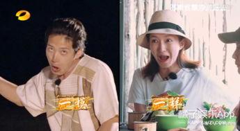 真心话吃瓜群众,网络舆论场中的真实声音