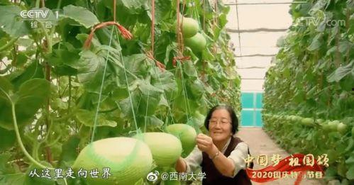 80岁都要当吃瓜群众,全民吃瓜时代新风尚