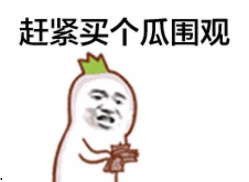 抱抱吃瓜群众视频,揭秘网络热点的背后故事