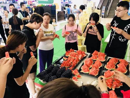 吃瓜群众课堂,揭秘娱乐圈背后的故事与真相