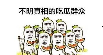 第12章 吃瓜群众,吃瓜群众的狂欢与反思