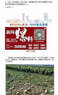 吃瓜群众的入境方式,多元方式畅游世界