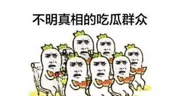默默的做吃瓜群众的事,吃瓜群众的生活点滴