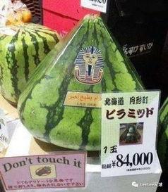 吃瓜群众穿越到70年,吃瓜群众穿越时空的奇妙之旅