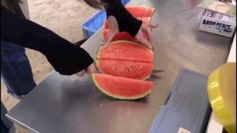 快速学习吃瓜群众,轻松掌握娱乐圈热点解析