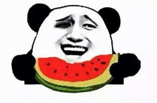 阿托吃瓜群众,吃瓜群众的视角揭秘娱乐圈风云