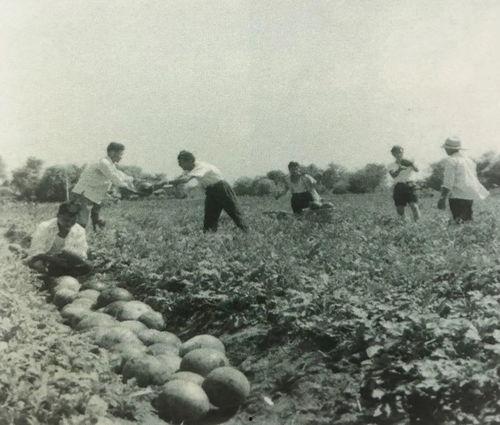 石佛寺吃瓜群众事件始末,一场网络舆论的风波与反思