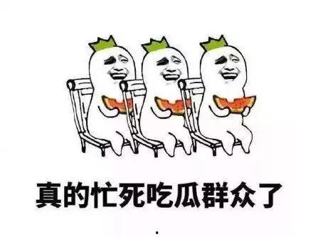 吃瓜群众的自我修养平替,理性围观，提升自我修养