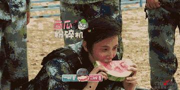 吃瓜群众推理题目,推理题目背后的真相揭晓