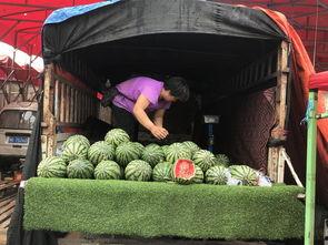 郑州的吃瓜群众东里