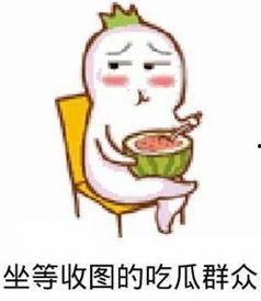 吃瓜群众的瓜指啥,网络舆论场中的围观与解读