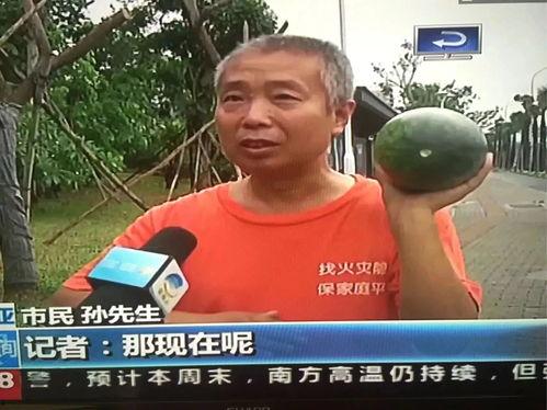 吃瓜群众刺激事件是什么