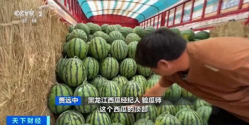 交大夜市吃瓜群众小瓜,小瓜的美食探秘之旅