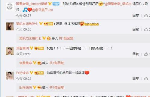 吃瓜群众樊某,揭秘娱乐圈背后的故事