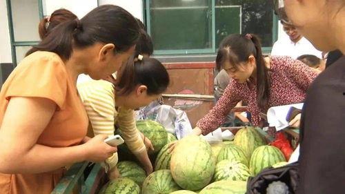 村里吃瓜群众照片真实