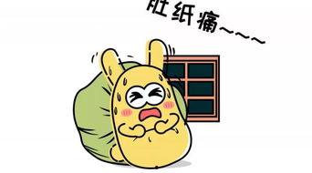 吃瓜群众服务怎么样,全方位体验，畅享娱乐盛宴